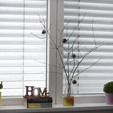 Ms Sparrow Auberge de jeunesse Ljubljana