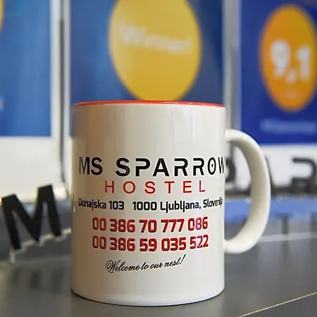 Ms Sparrow * Ljubljana